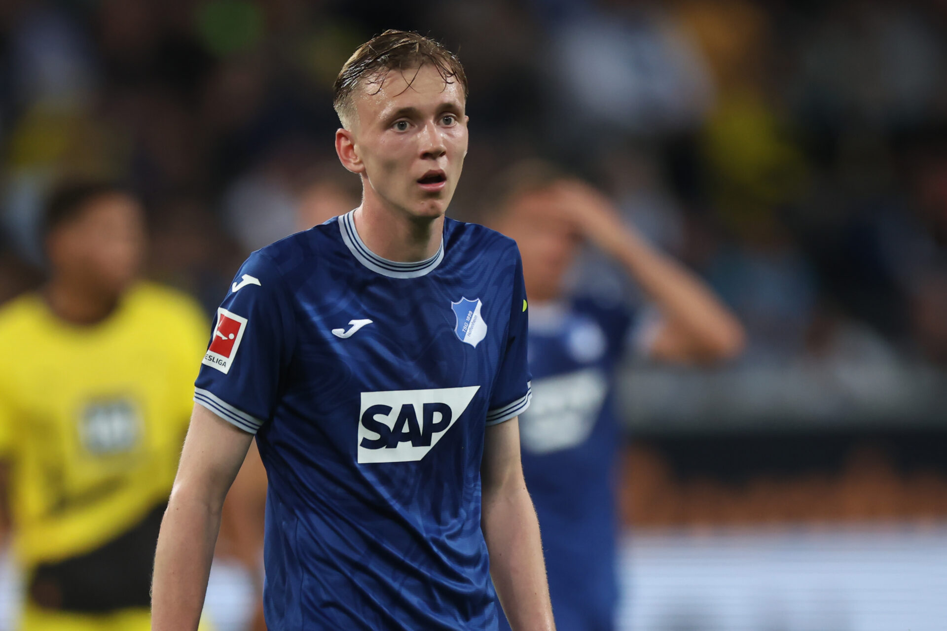 tsg hoffenheim v borussia dortmund bundesliga