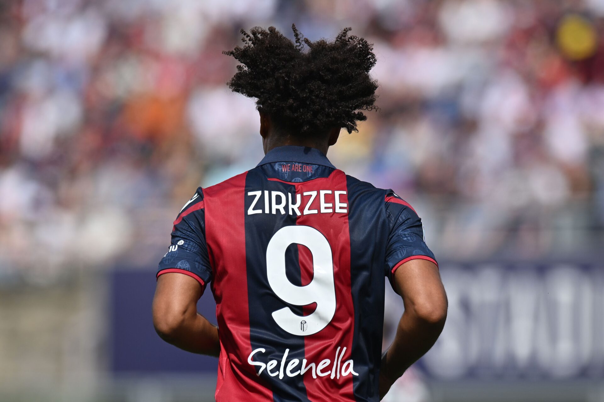Joshua Zirkzee - Potential New Centre-Forward for Manchester United