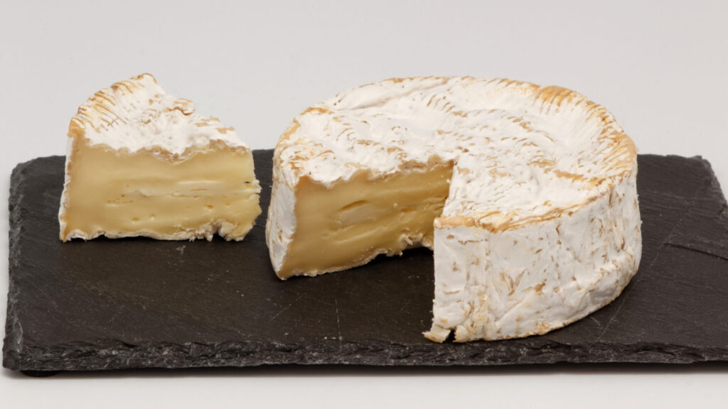 Camembert de Normandie AOP 11