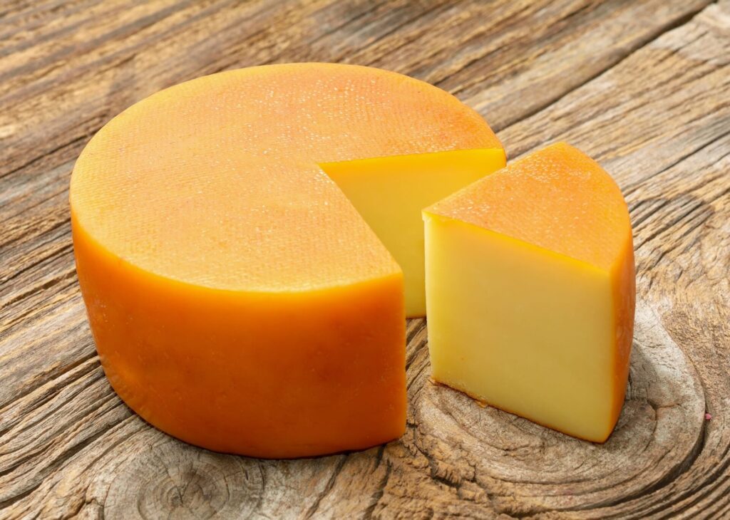 gouda