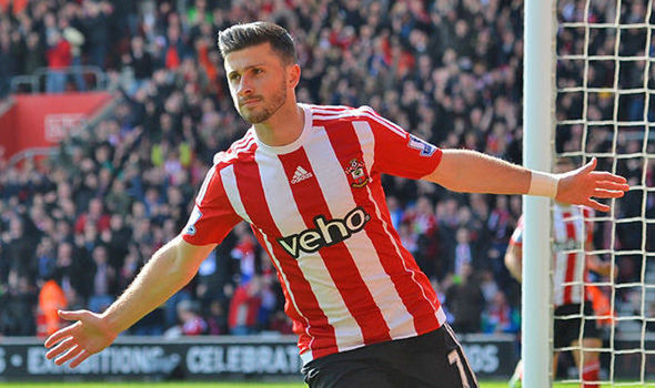 shane long 1