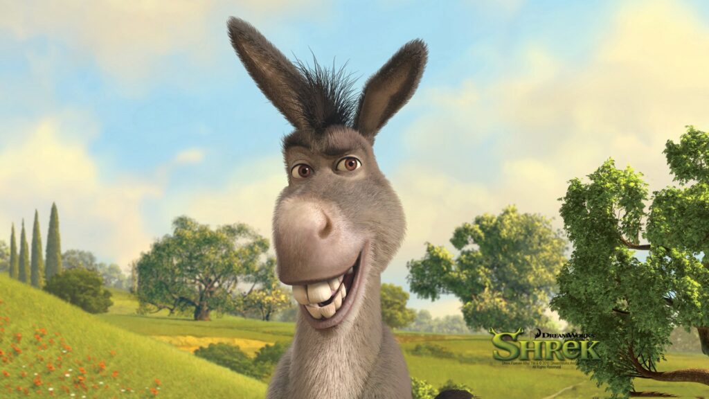 donkey