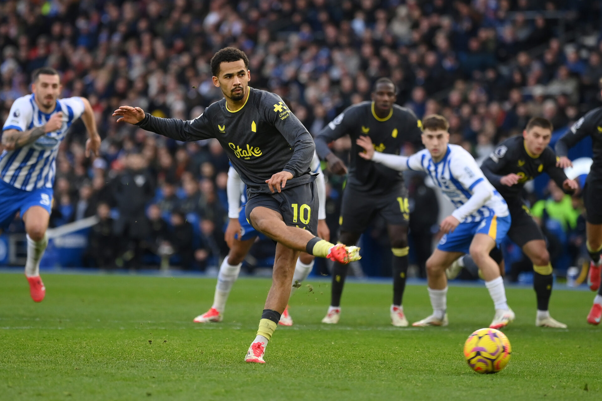 brighton and hove albion fc v everton fc premier league